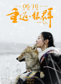 依然是你美梦